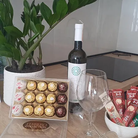 Apartment Pavle *